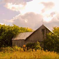 Autumn Barn