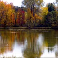 Autumn Pond