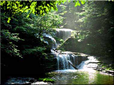 Sunlit stream rushing by Pinacle Rock.