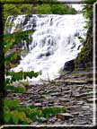 Spring foliage showing by Ithaca falls.