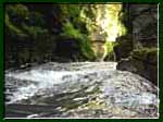 Water rushing through Upper Enfield Gorge towards Lucifer falls in Robert Treman State Park.