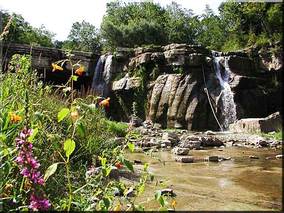 Photograph of Ludlowville Falls on Salmon Creek with wildflowers.