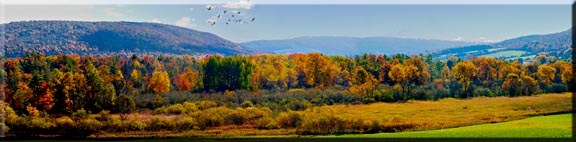 Panorama photograph od a hillside in fall.